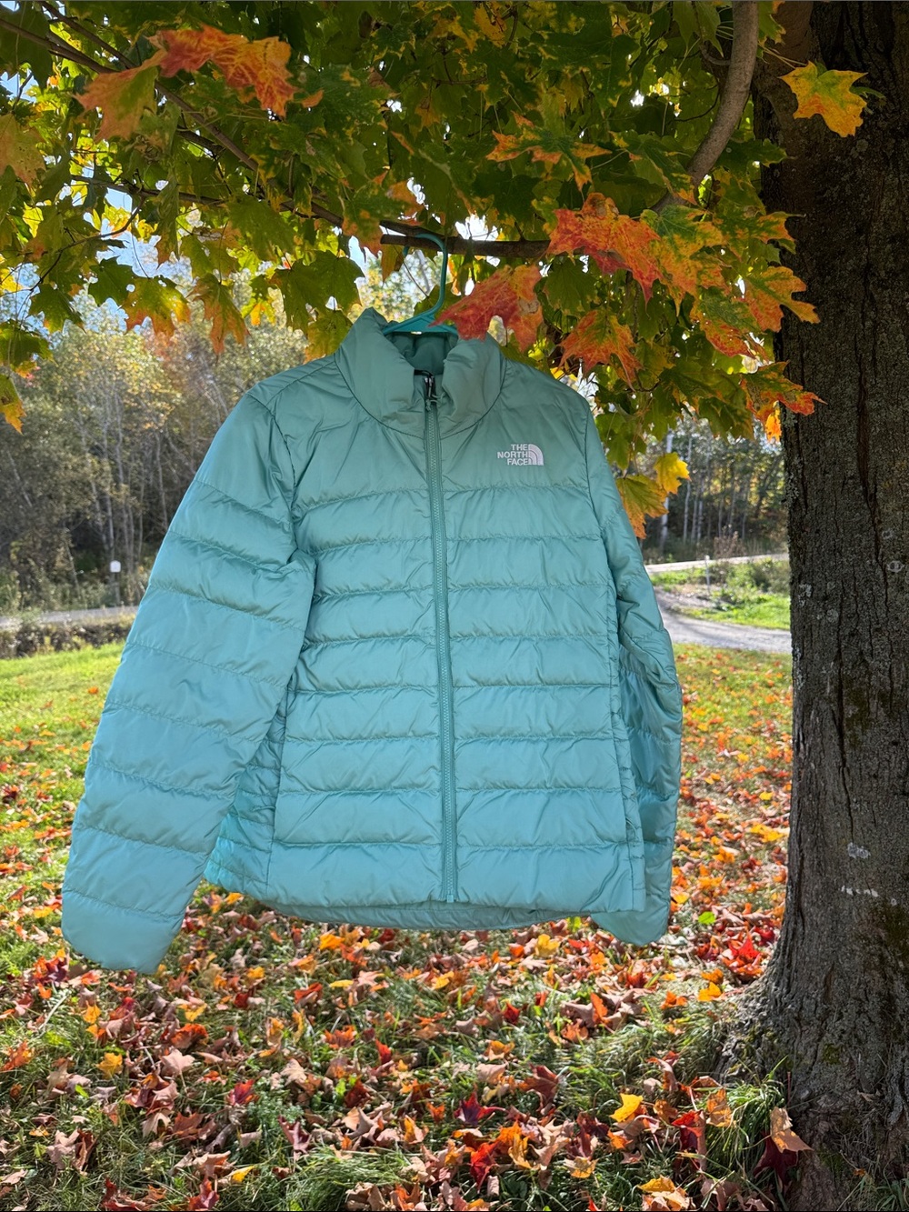 The North Face Women's Mint Green Puffer Jacket